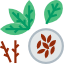 Dried Herbs